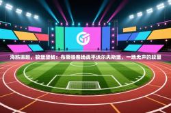 海鸥振翅，狼堡坚韧：布莱顿客场战平沃尔夫斯堡，一场无声的较量