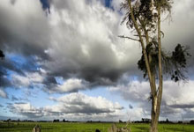 烈焰红白，荣耀克罗地亚：一段关于梦想、坚持与足球的史诗