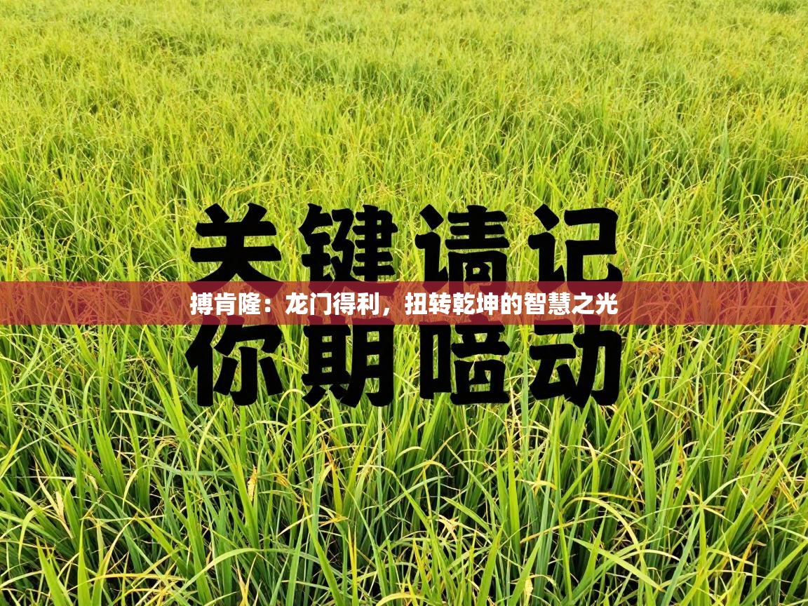 搏肯隆：龙门得利，扭转乾坤的智慧之光  第2张