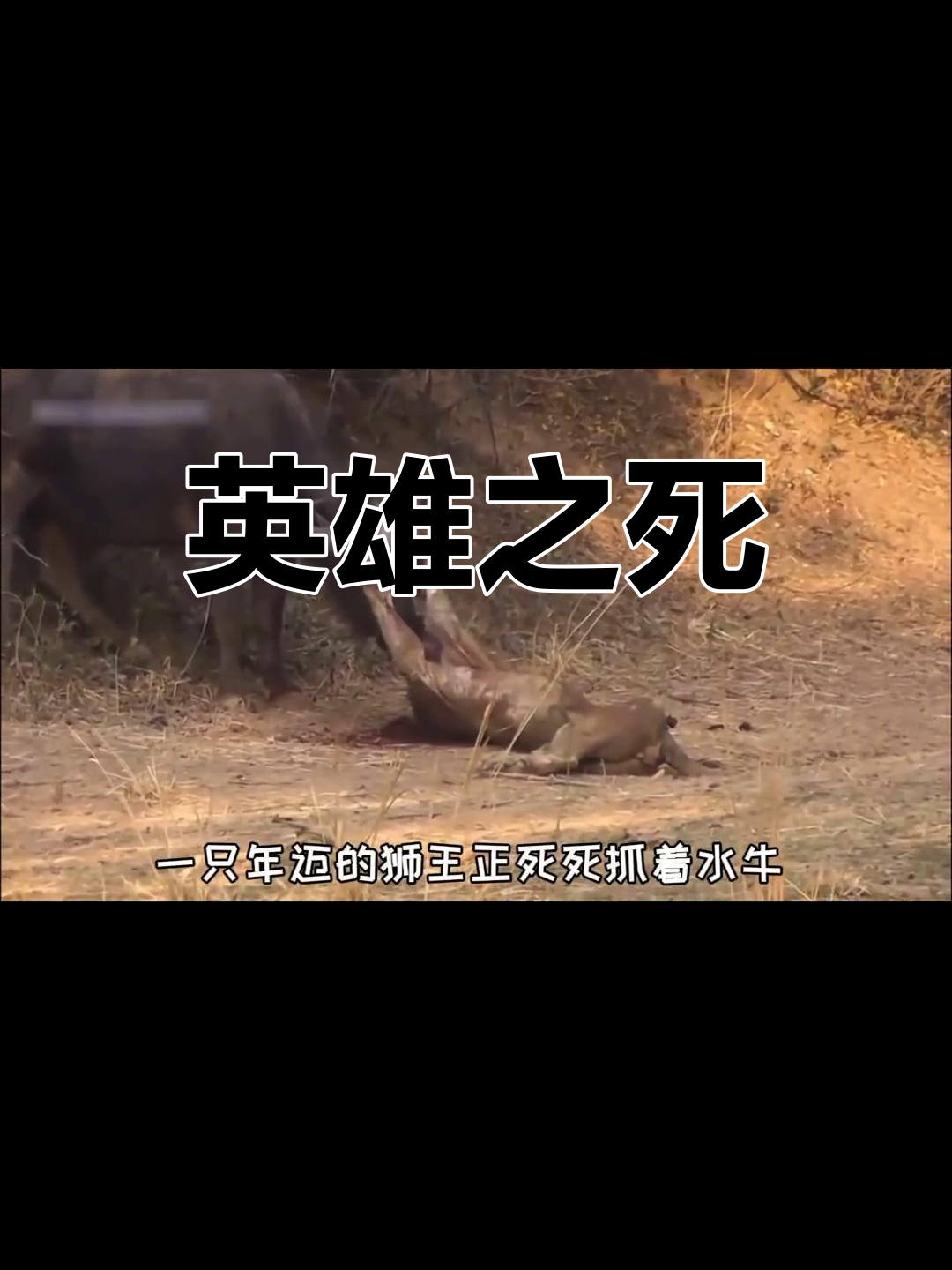 爱体育全站-小牛顽强反击，逆袭击败对手